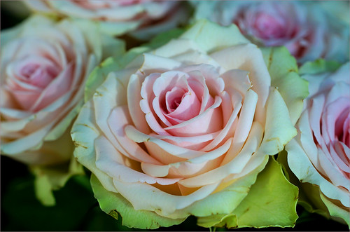 Top 10 Must-Visit Places In Canada For Your Travel Bucket List