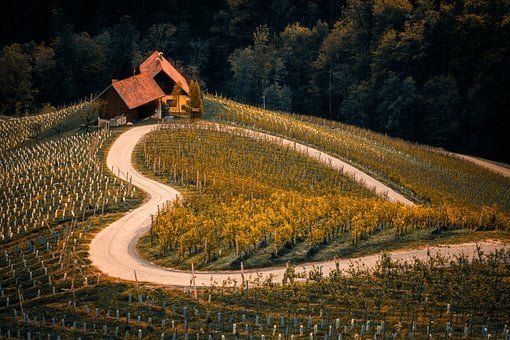 vineyard, agriculture, farm - Top 10 Must-Visit Places In Canada For Your Travel Bucket List