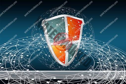 security, professional, secret