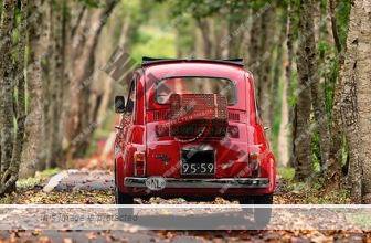 Car Shopping 101: How to Do It Right